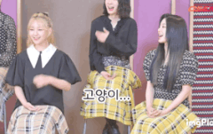 진짜 고양이가 되고싶었던 아이돌