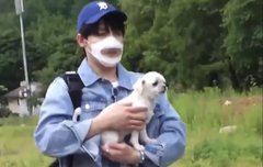 어머어머어머 마루 붕붕이이ㅣ이