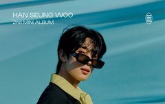 역시 문제는 플엠이었다