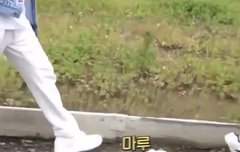 마루 근데 생각보다 더 작고 소중하다