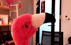 톡선에 동성애 정신병이냐는데