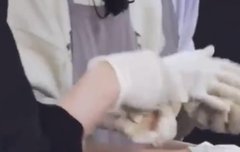 얘들아... 부짠 손목 좀 봐줘