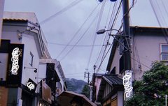 올해 비 되게 자주 오는거 같지 않아?