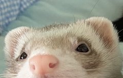 족젭사진이나 모으고있고 어?