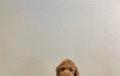 아아니 이게 뭐야