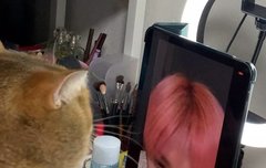 고양이를 만난 태용