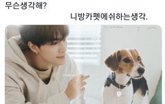 여기 좀 살리자 쩐니들아