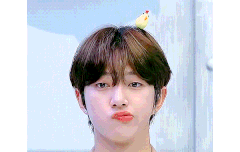 너무 사랑스러운거 아니냐고!!