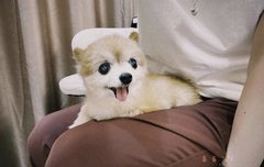 드디어 쪼금씩 굴러가기 시작한다