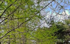 제발 얘네 누구누군지 알려줘