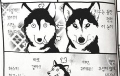 진짜 크고 아름답다! +ㅇ+