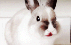 이 중에 하나만 골라 봐!