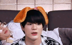 제노 버블 얼만큼 와??