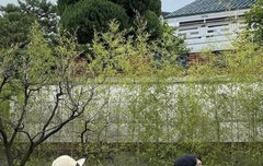 권다미님 인스타 지용