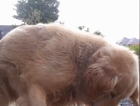 두 짤의 놀라운