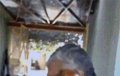 아이콘 마음+댕댕이 마음