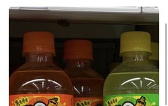 우리 진짜 뿌요소다 모델시켜주면 안되냐고