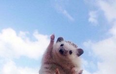 최애 노래라고 말할 순 없지만