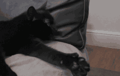 너무 한 거 아니야...