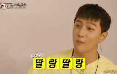 꿀이콘 & 쨈이콘