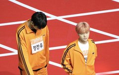 이사진 개좋은 이유