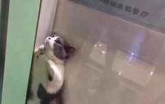 심심하다