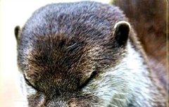 제발 ㄱ 부디 ㅈ 진심 ㅎ