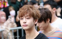 파이터 때 채형원