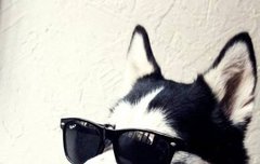 하나 장만하고 싶은 (눈부심 주의)