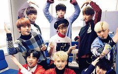 아기 타지들을 위한 수록곡 추천