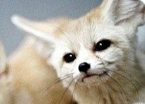 횐님들~ 날도 더운데 집에 꼭 붙어계세요~