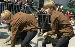 넘어진 팬 일으켜주는 태용