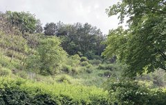 경수사진뜬거 색감 보정해밧어