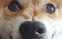 레벨 연차가 있는데 이제 성적에 연연하기보다는 즐기면서 하자