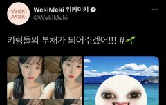 트윗 올라온 세이 귀여워