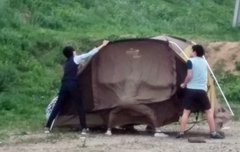 차례대로 누구 같음?