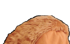 거기 도토리 굴러가유