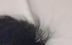 이 자기주장 강한 잔머리 좀봐