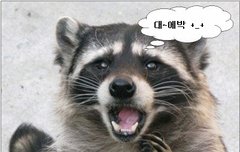 다들 어쩜 그리