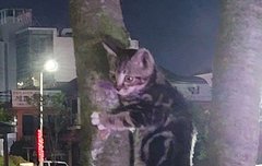 씹덕들아 하나 물어보자