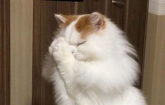 후우 나 127 인장바뀌는 날만 손꼽아 기다려...