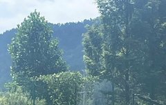 아 이게 이건가?