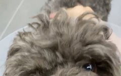 강아지 사진으로 알게 된 와이지 친목 근황