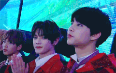 팬들 꼬시는 태용