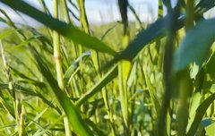 놈 야물딱져ㅋㅋㅋㅋㅋ