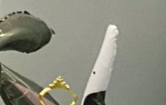 아 강강이 있었구나