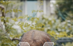 Y magazine 산하 미모 한도초과야