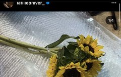 해바라기를 좋아하는 도연