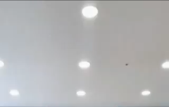 힙해도 너무힙한 소연 덤덤챌린지