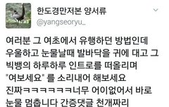 빂들 행복해랏